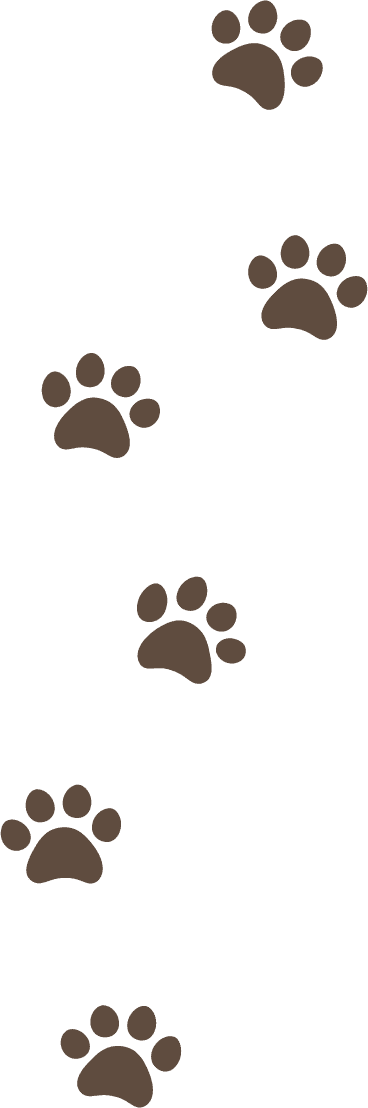 足跡イラスト